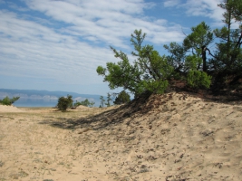 Эоловые формы рельефа урочища Песчанка
